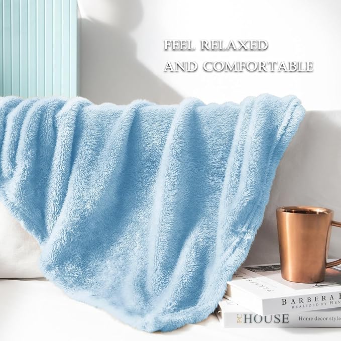 Exclusivo Mezcla Fuzzy Plush Fleece Bed Blanket Queen Size, Light Blue | 90x90 Inches, Super Soft and Cozy Bed Blanket, Fluffy Decorative Bedding for Livingroom, Bedroom, All Season