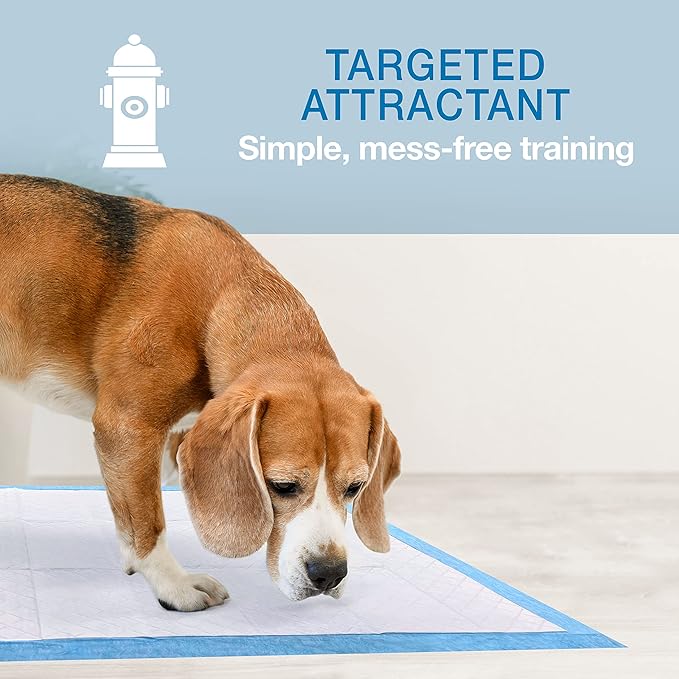 Four Paws Wee-Wee Superior Performance Unscented Large Pee Pads for Dogs & Puppies, Quilted Leak-Proof Dog Housebreaking Potty Training Floor Protection, 27.5" x 44", 150 Count