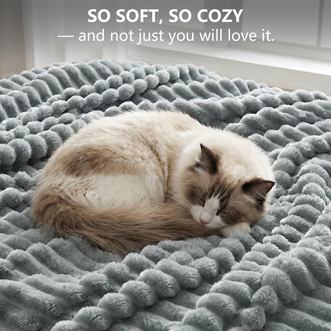 Gray Twin Blanket for Bed & Couch, 60 x 80 Inch | 300GSM Ribbed Fleece Blanket, Soft, Cozy & Lightweight, OEKO-TEX Certified, All-Season Use for Travel, Dorm & Home Decor