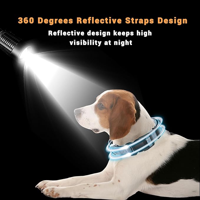 2 Pack Reflective Dog Collar with Safety Locking Buckle, Adjustable Soft Breathable Comfortable Nylon Pet Collar for Small, Medium and Large Dogs, Gray, M