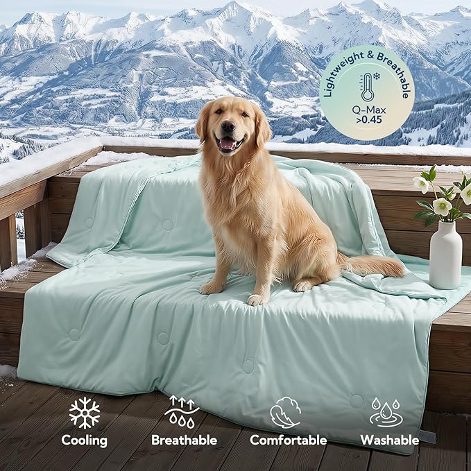 Soulbond Cooling Blanket for Extra Large Dogs - Q-MAX>0.45, Washable Cool Pet Cats Throw Blanket for Hot Weather, Self-Cooling Soft Dog Mat for Bed Crates Couch Sofa Cars(50"x60", Aqua Green)