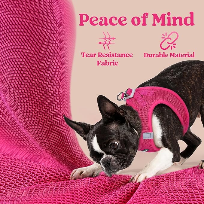 rabbitgoo Small Dog Harness, Step-in Soft Mesh Puppy Vest with Safety Buckle, Breathable Reflective Pet Harness for Small Medium Dogs, Rose Red L