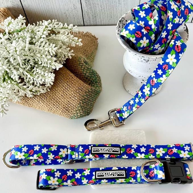 Lucky Love Dog - Adjustable Dog Collar with Easy Click Buckle for Medium, Durable, & Comfortable for Male & Female Dogs, Pet Collar for Puppies & Adult Dogs - Lilian, Medium