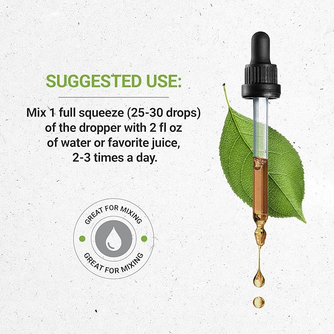 Secrets of the Tribe OSHA Tincture Alcohol-Free Extract, High-Potency Herbal Drops, Tincture Made from Responsibly farmed OSHA Ligusticum porteri Respiratory System Health 2 oz