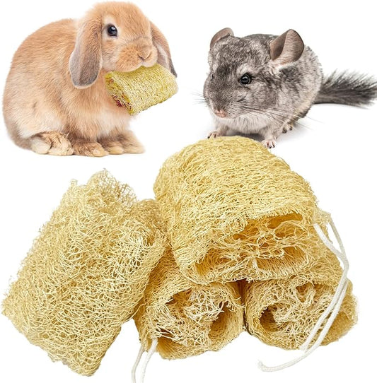 BNOSDM Bunny Chew Toys Natural Loofah 4PCS Bunny Teeth Grinding Toy Rabbit Fiber-Rich Treats Pet Entertainment Accessories for Rabbits Chinchillas Guinea Pig（L）