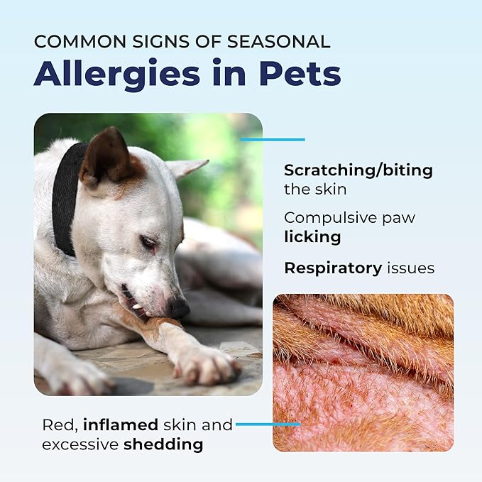 Vetnique Labs Dermabliss Dog Allergy and Itch Relief, Skin and Coat Health Supplements and Grooming Supplies with Omega 3-6-9, Biotin - Ditch The Itch (Itch Relief, 16oz Shampoo)