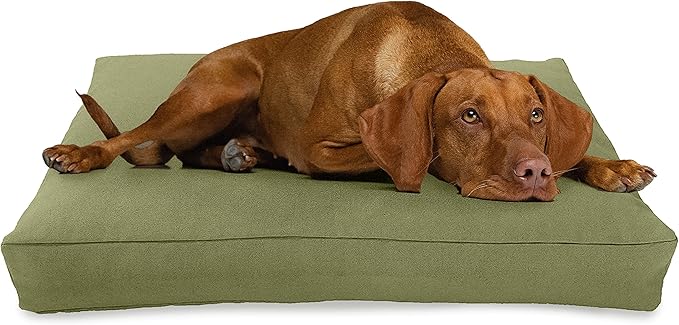 XX-Large - 54 x 36 x 6 - Cactus Premium Organic Hemp Dog Bed - Organic Latex Fill - Removeable Cover