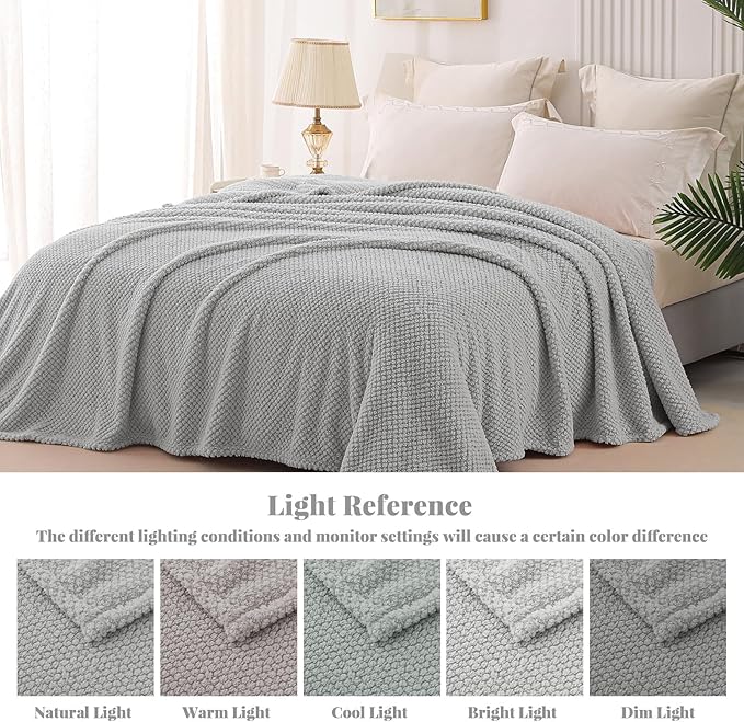 Whale Flotilla Soft Fleece Twin Size Bed Blanket, Light Grey | 60x80 Inch, Suitable for Bed, Fluffy Fuzzy Jacquard Blankets for All Season, Lightweight and Cozy