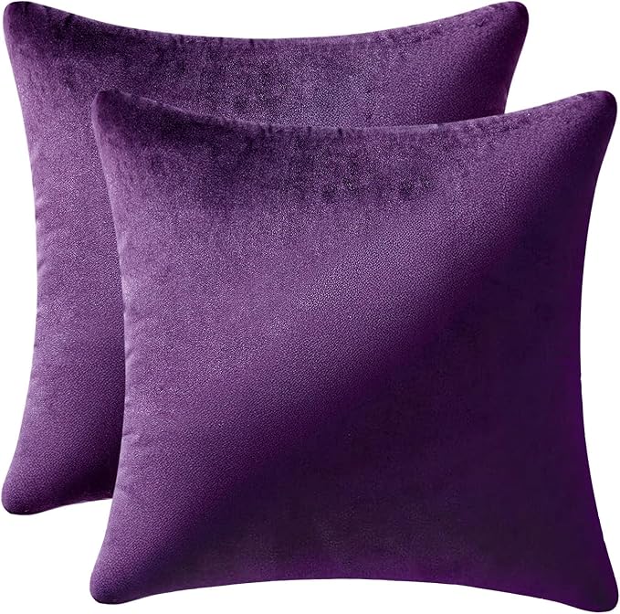 MIULEE Velvet Throw Pillow Covers 18x18 Inch Pack of 2 Eggplant Purple | Soft Solid Decorative Pillow Covers, Modern Luxury Home Decor, for Couch Chair Sofa Bedroom Livingroom