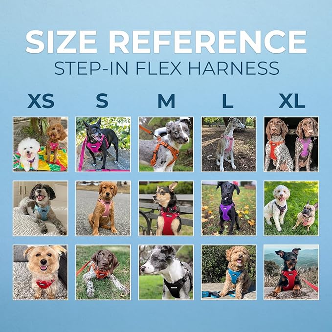 Best Pet Supplies Voyager Adjustable Step-in Flex Breathable Mesh Dog Harness for Small Medium Large Dogs (Army/Black Trim), S