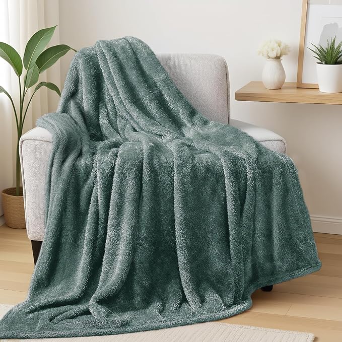 Exclusivo Mezcla Fuzzy Large Fleece Throw Blanket for Couch, Celadon | 50x70 Inches, Super Soft and Cozy Throw, Plush Fluffy Blanket for Sofa, Bed, Bedroom, Home Decor, All Season
