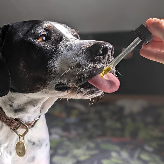 Hemp Well Thrive Oil for Dogs and Cats – Supports Hip, Joint, and Heart Health, Promotes Immune Support, Strengthens Skin and Coat, Organically Sourced – 2 Ounces