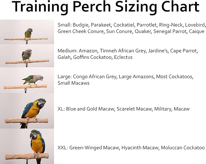 Parrot Training Perch Kit (T Perch, Medium)