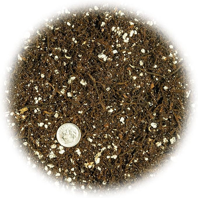 Gardenera Fern + Perlite Soil Mix - 10 Quart - for Repotting and Planting Succulents and Cactuses (4 Bags of 5 Quart)