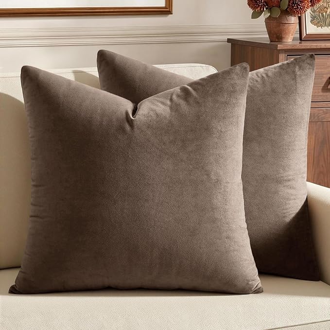 MIULEE Velvet Throw Pillow Covers 20x20 Inch Pack of 2 Coffee | Soft Solid Decorative Pillow Covers, Modern Luxury Home Decor, for Couch Chair Sofa Bedroom Livingroom