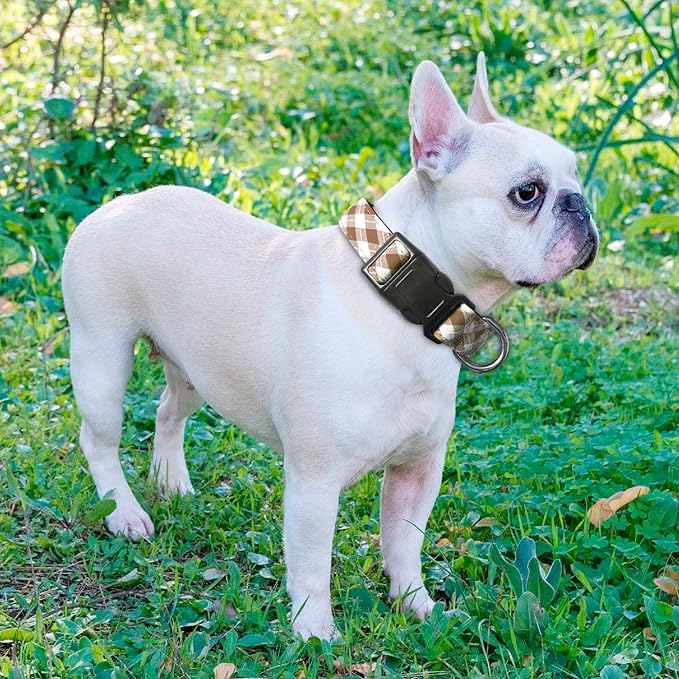 Reflective Dog Collar Padded with Soft Neoprene Breathable Adjustable Nylon Dog Collars for Small Medium Large Dogs (Small (Pack of 1), Vanilla Plaid Collar+Leash)