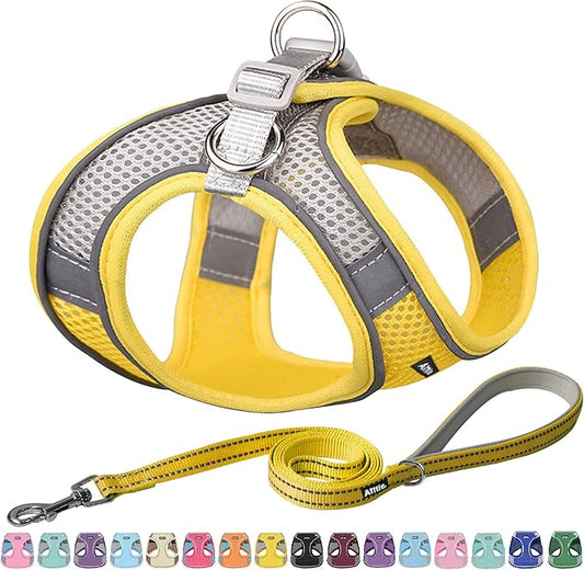 AIITLE Small Harness for Puppy with A Leash - Dog Vest Harness with Super Breathable Mesh, Reflective No-Pull Pet Harness for Outdoor Walking, Running for Small Dogs, Cats Yellow XXS