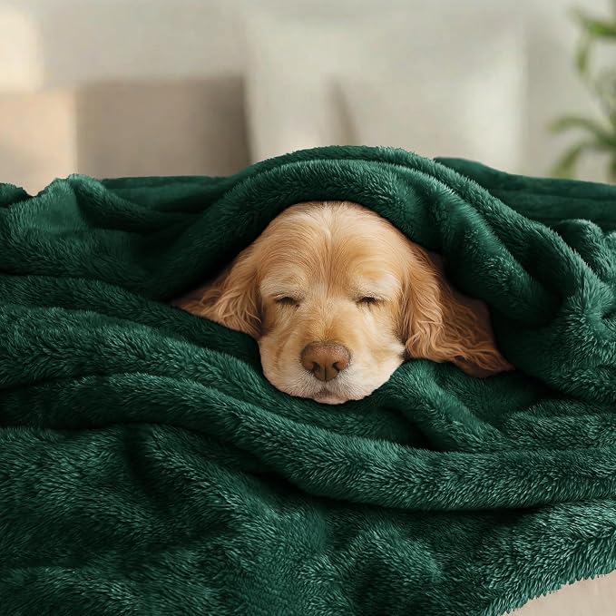 Exclusivo Mezcla Fuzzy Plush Fleece Bed Blanket Queen Size, Forest Green | 90x90 Inches, Super Soft and Cozy Bed Blanket, Fluffy Decorative Bedding for Livingroom, Bedroom, All Season