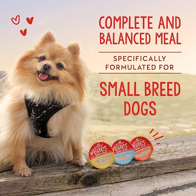 Stella & Chewy's Lil Bites Savory Stews for Small Breeds Chicken Dinner in Broth, 2.7 oz. Cups (Pack of 12)