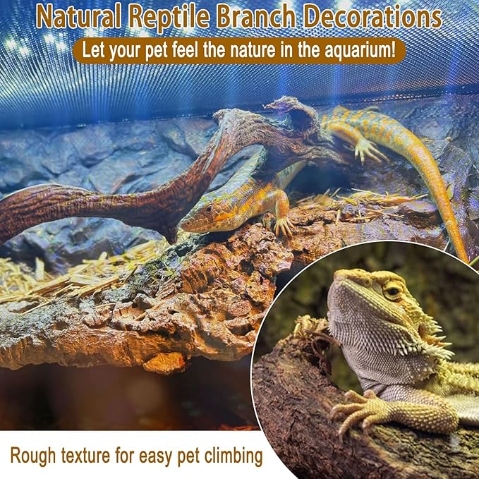 Reptile Decor Natural Forest Branch Terrarium Habitat Decoration Lizard Climbing Tree Branch for Bearded Dragon Gecko Snake Frog Chameleon Spider 8PCS