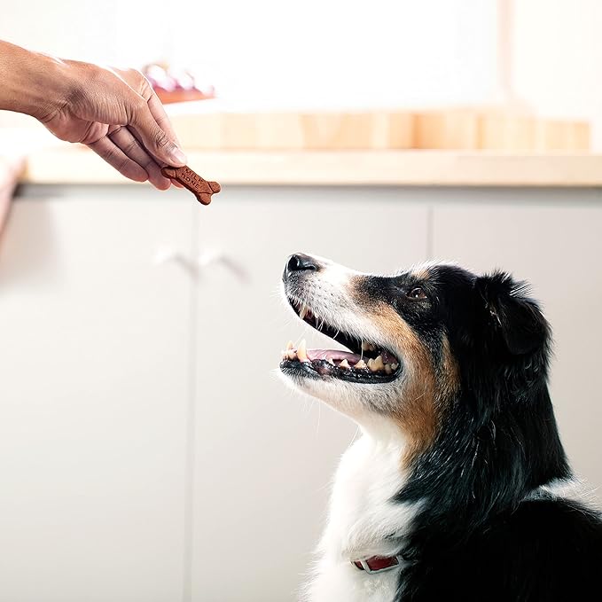Milk-Bone Soft & Chewy Dog Treats Made with Real Bacon, 25 Ounce, (Pack of 2)