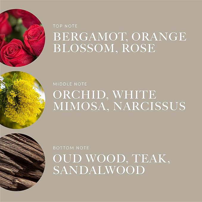Aroma360 | Disney - A Whole New World Fragrance Oil Blend | Disney Princess Jasmine | Luxury Essential Oil Diffuser | Aromatherapy Scent Diffuser Oil | Bergamot Orange Blossom Rose 1.7 fl oz 50 mL