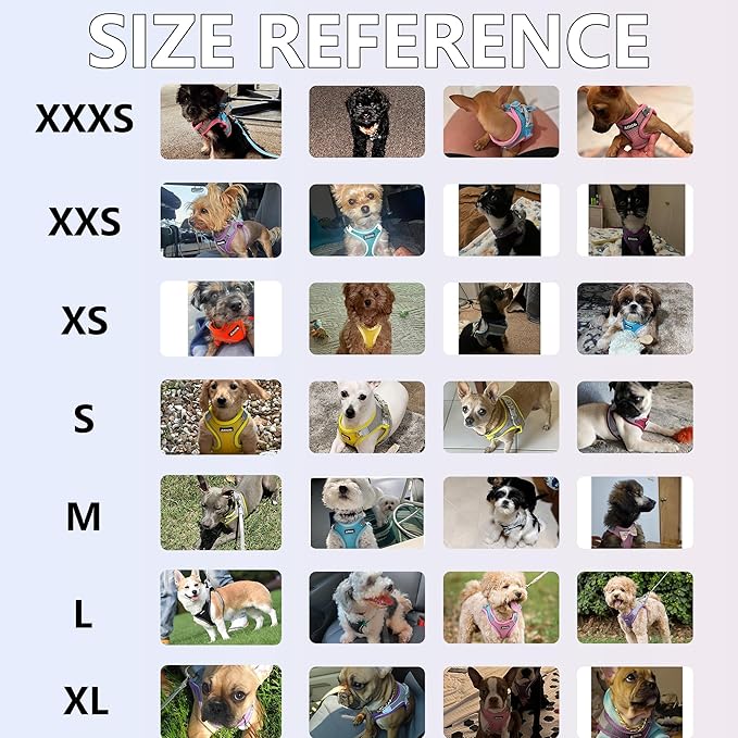 AIITLE Escape Proof Dog Harness - Step in Adjustable Dog Harness No Choke Over with Breathable Mesh and Quick-Release Buckle for All Weather- Outdoor Walking, Training for Medium Dogs Royal Blue XL