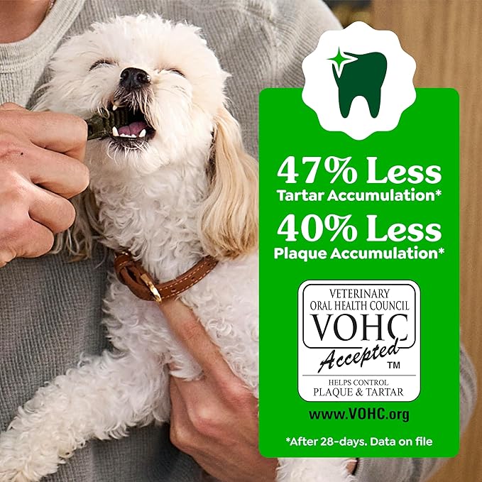 Greenies Veterinarian-Recommended Adult Natural Dental Dog Treats Petite Size, Fresh Flavor, 12 oz. Pack, 20 Count