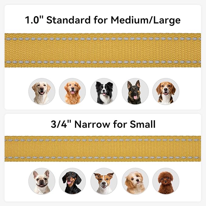 Joytale Dog Leash, 6 FT Double-Sided Reflective, Padded Handle Nylon Heavy Duty Leashes for Small Dogs Walking, Khaki