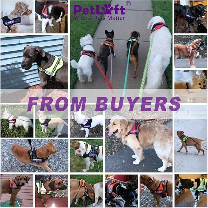 PetLove Dog Harness, Adjustable Soft Leash Padded No Pull Dog Harness for Small Medium Large Dogs, Orange