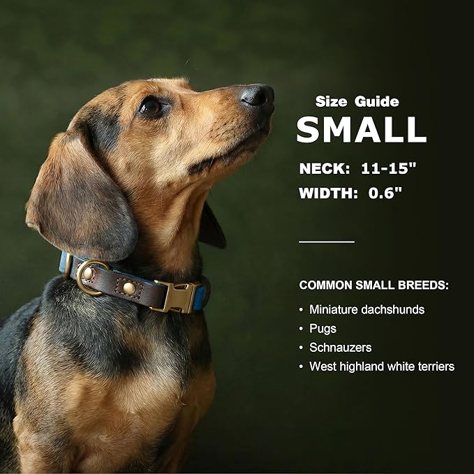 Didog Soft PU Leather Dog Collars for Small Dogs,Classic Adjustable Dog Collars with Quick Release Metal Buckle,Easy Clean and Comfortable with Nylon Lining,Denim Blue,S Neck 11-15"