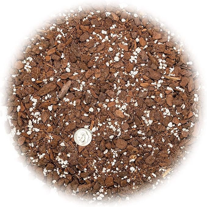Premium Monstera Dubia Plant Potting Mix - Enhanced Aeration and Nutrient Retention - 1 Quart