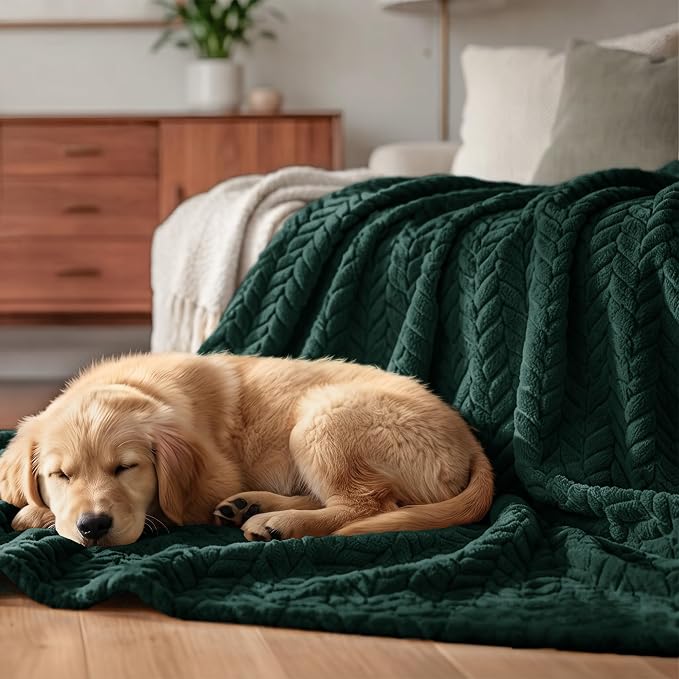 Exclusivo Mezcla Fleece Throw Blanket for Couch Sofa, 50”x70”, Forest Green | Oversized Soft Cozy Fluffy Blankets for Summer, Decorative Plush Flannel Throws for Living room, Bedroom with Leaves Pattern