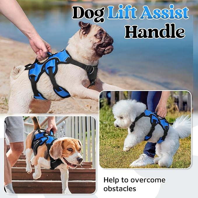rabbitgoo Escape Proof Dog Harness, Soft Padded Full Body Pet Harness, Reflective Adjustable No Pull Vest with Lift Handle and Leash Clip for Large Dogs Walking Hiking Training, S, Blue