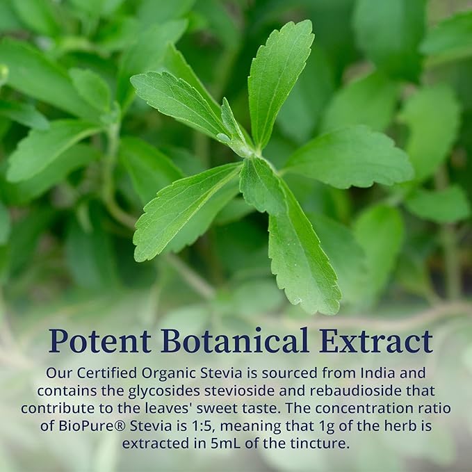 BioPure Stevia Certified Organic Extract – Whole Leaf Herbal Tincture with Bioactive Compounds to Support Immune Function, Microbiome Balance & Gut Health – 2 fl oz