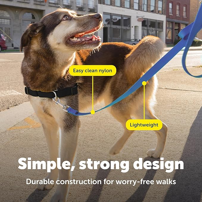 PetSafe Nylon Leash - Helps Maintain Secure Connection on Walks - Durable Pet Leash with Easy Clip - 1 in. x 6 ft. - Royal Blue