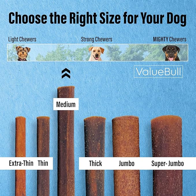 ValueBull Collagen Sticks for Dogs, 12 Inch Medium Chews, Natural Long-Lasting Dog Treats, 100 Count Bulk Pack - Supports Joints, Skin & Coat with Chondroitin & Glucosamine