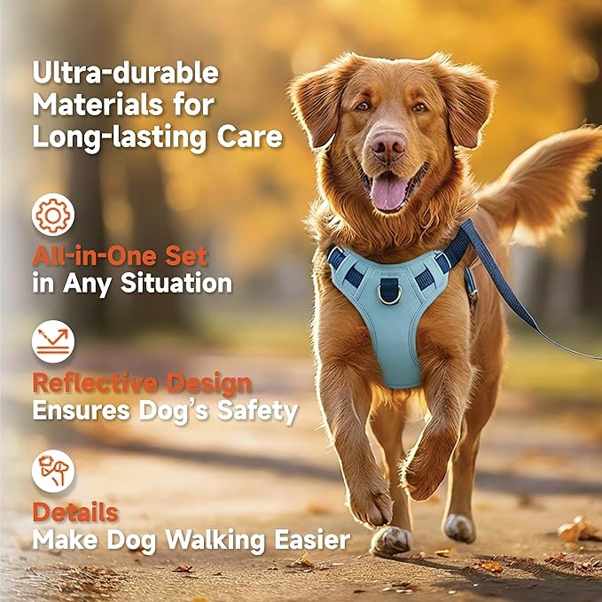 3 in 1 No Pull Dog Harness Leash and Collar Set, Soft Adjustable Dogs Vest Reflective and Comfortable Handle Blue Small