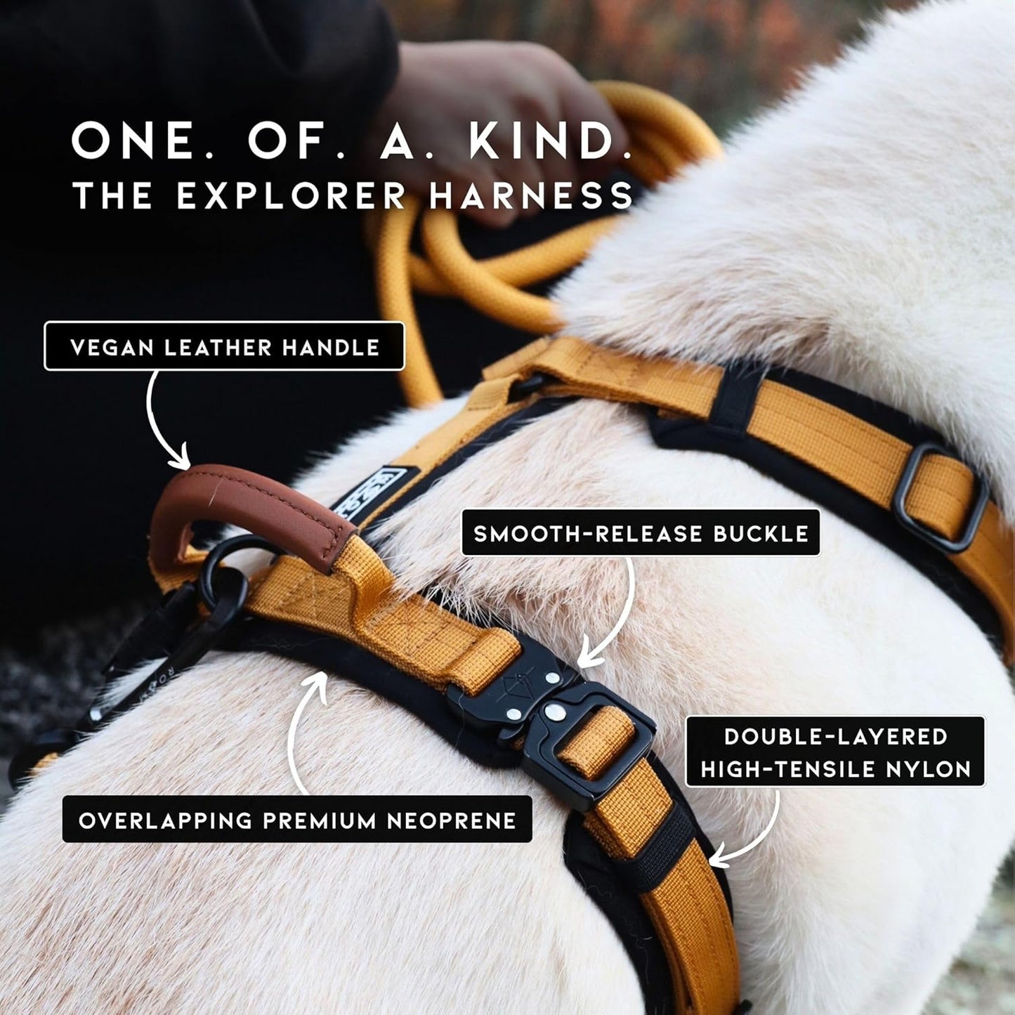 MADE TO ROAM Premium Explorer Harness - Y-Shaped Dog Harness with Adjustable Durable Nylon, Soft Padding, Metal Buckles and Leather Handle for Small, Medium, Large Dogs (Michigan Autumn, Size 5)