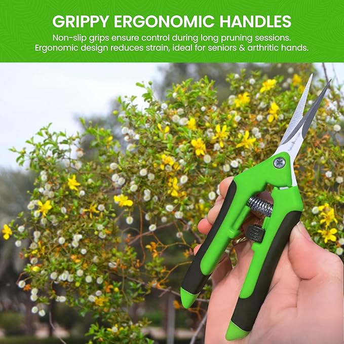 Garden Guru Razor Sharp Snip ??Professional Garden Pruning Shears Trimmers Scissors ??Super Sharp Micro-Tip Precision Stainless Steel Blades - Easy on Arthritic Hands - Soft Ergonomic Handles (2 Pack)