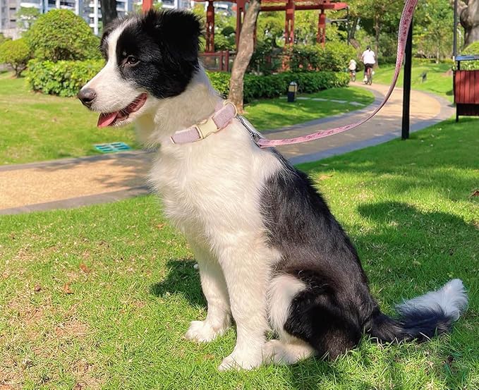 Soft Cotton Hemp Dog Collar with Metal Buckle Adjustable Twilled Dog Collars for Female Small Medium Large Dogs(Pink,Large)