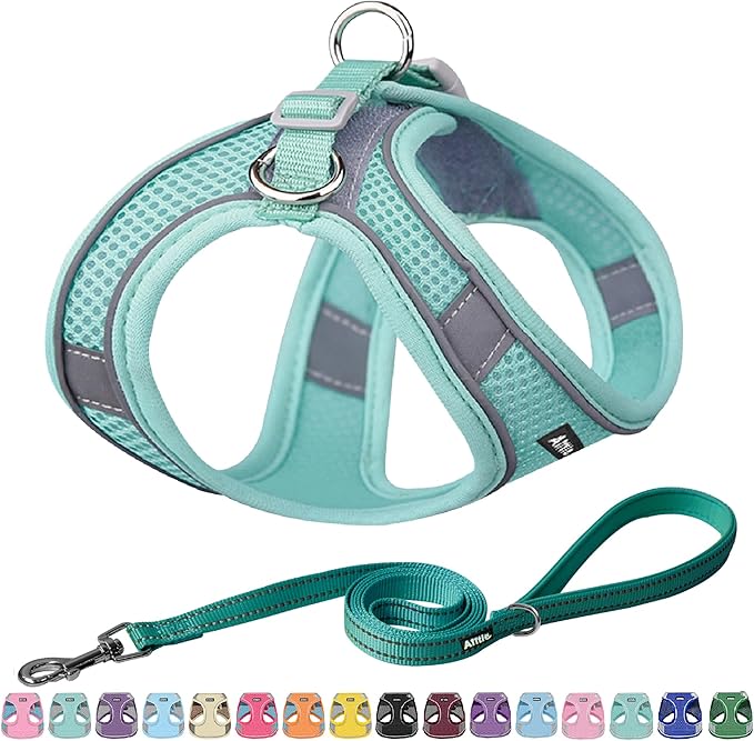 AIITLE Small Harness for Puppy with A Leash - Dog Vest Harness with Super Breathable Mesh, Reflective No-Pull Pet Harness for Outdoor Walking, Running for Small Dogs, Cats Pure Turquoise XXS