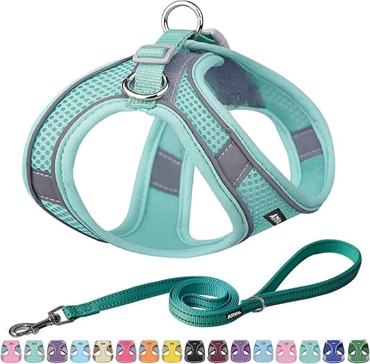 AIITLE Escape Proof Dog Harness - Step in Adjustable Dog Harness No Choke Over with Breathable Mesh and Quick-Release Buckle - Outdoor Walking, Training for Medium Dogs Pure Turquoise XL