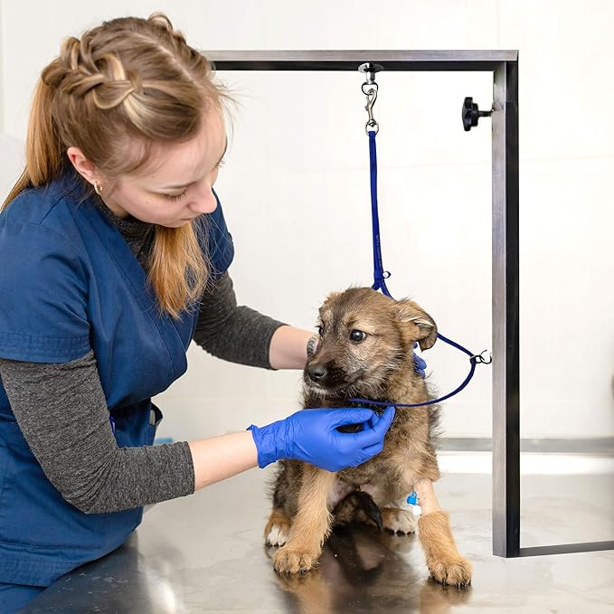 Jelly Pet Grooming Loop for Dogs, Groomers Helper, BioThane Material is Easy to Clean, Waterproof & Durable Noose Loop, Fits Most Pet Grooming Tubs/Tables/3/8”x24” W/Ring Royal Blue