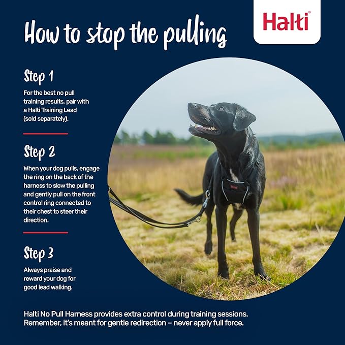 Halti No Pull Harness - Stop Your Dog Pulling on The Leash. Adjustable, Lightweight and Easy to Use. Reflective Dog Training Harness for Large Dogs (Size L, Burnt Orange)