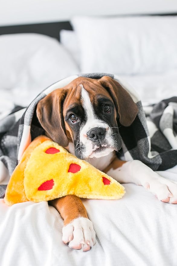 ZippyPaws NomNomz - Dog Squeaky Toys to Keep Them Busy, Funny Food Plush for Small & Medium Dogs, Cute Stuffed Puppy Toy, Pet Products, Gift for Dogs of All Breeds, Soft and Cuddly - Pizza