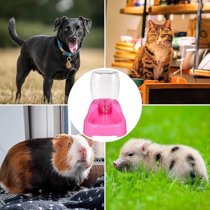 POPETPOP Automatic Pet Feeder, Plastic, Suitable for Cats and Dogs, Multiple Pets