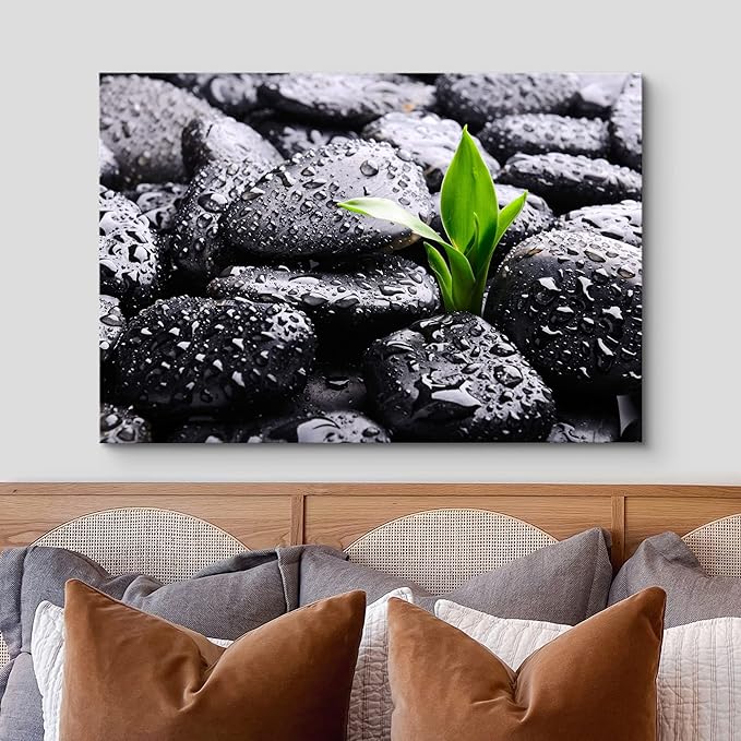 wall26 Canvas Print Wall Art Raindrops on Black Rocks with Sprouting Plant Floral Nature Photography Realism Bohemian Scenic Relax/Calm Cool for Living Room, Bedroom, Office - 24"x36"