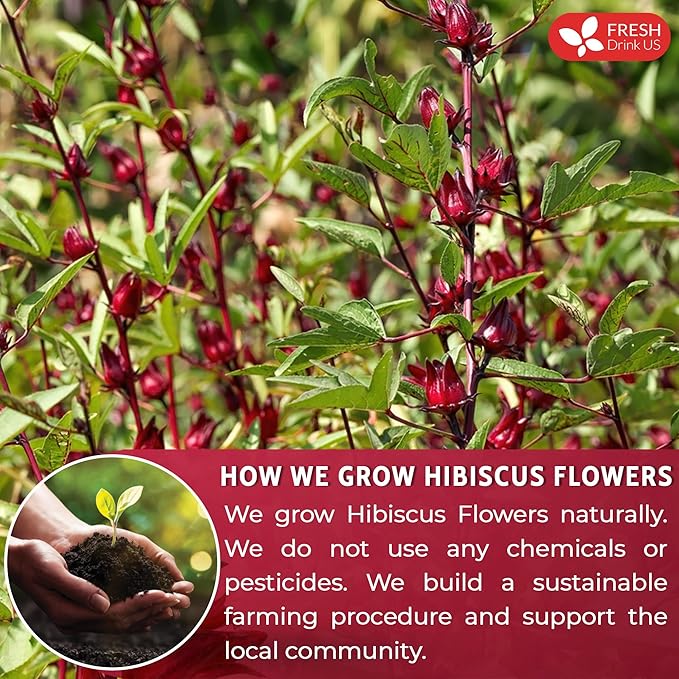 FreshDrinkUS, Premium 16oz Hibiscus Flower Powder, 100% Natural and Pure from Hibiscus Flowers, Natural Food Coloring, Hibiscus Flowers Tea, No Additives, No Gluten, No Sugar, Vegan