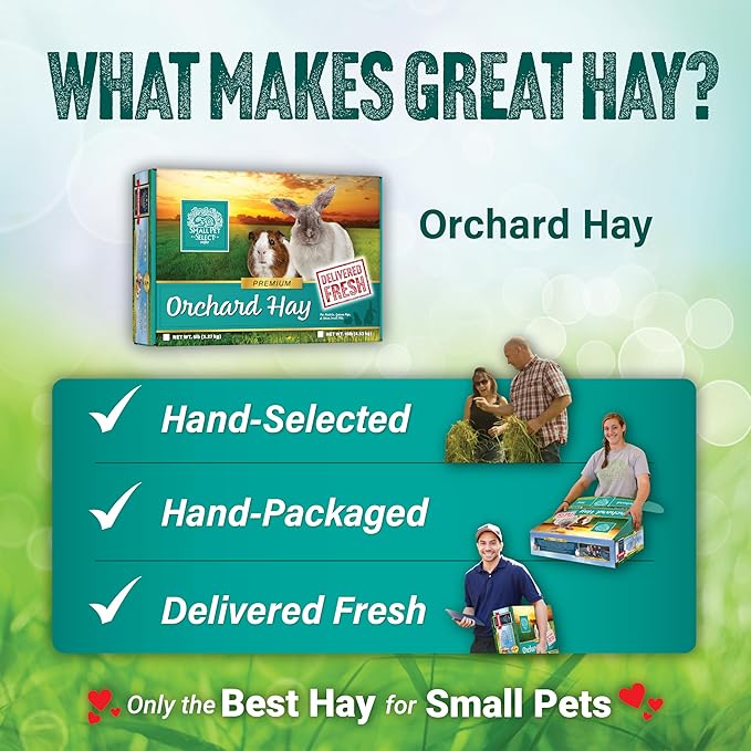 Small Pet Select Orchard Grass Hay Pet Food, 2 lb.